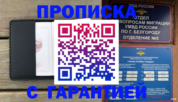 временная регистрация для всех в Кандалакше